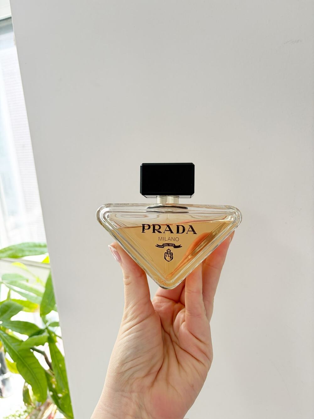Prada Paradoxe
